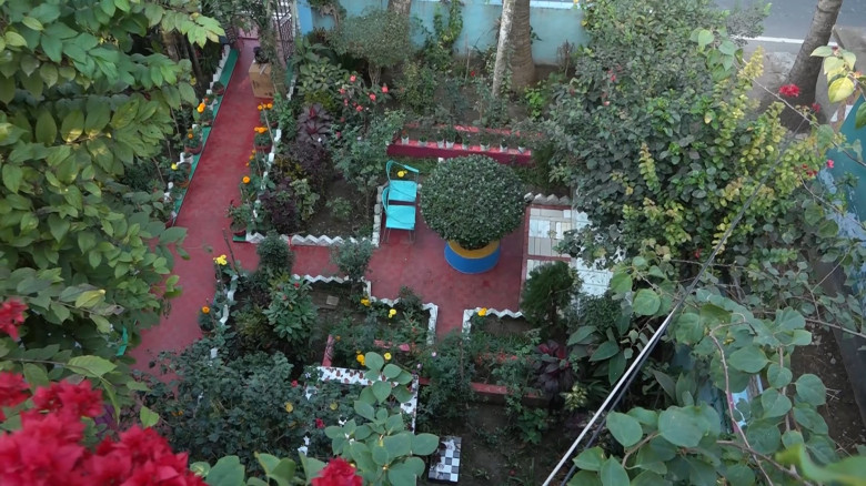 বাগান যেন শিল্পীর তুলির আচড়ে আঁকা ক্যানভাস...