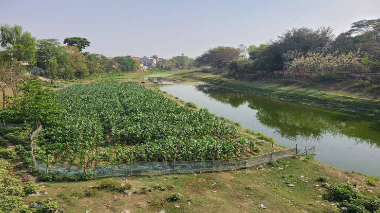 শুকিয়ে যাচ্ছে ফুলবাড়ীর নদী–খাল: পুনঃখননের জোর দাবি...