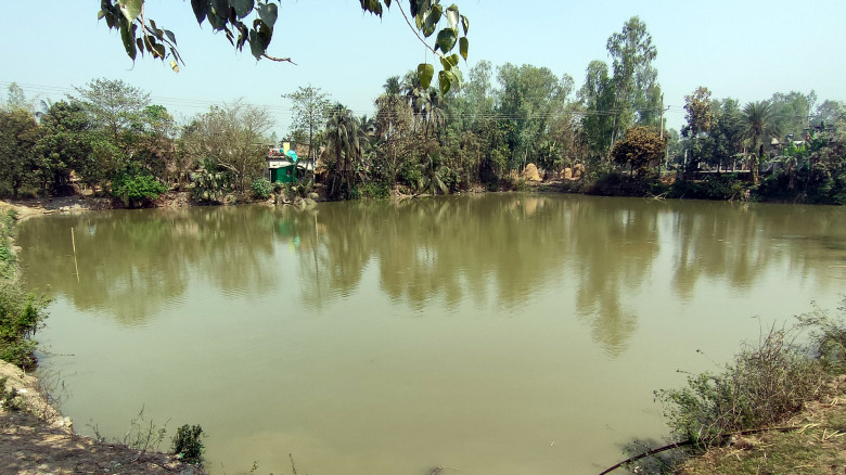 রাণীনগরের শতাধিক সরকারি পুকুর \ হারাচ্ছে কোটি টাকা...