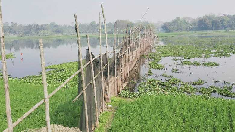 কাপাসিয়ার ঘোরশ্বাব জলমহাল লীজের নামে সমঝোতা নয় সকল...