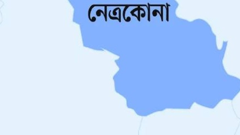 নেত্রকোণায় গরু লুটে বাধা: অন্তঃসত্ত্বার পেটে লাথি...