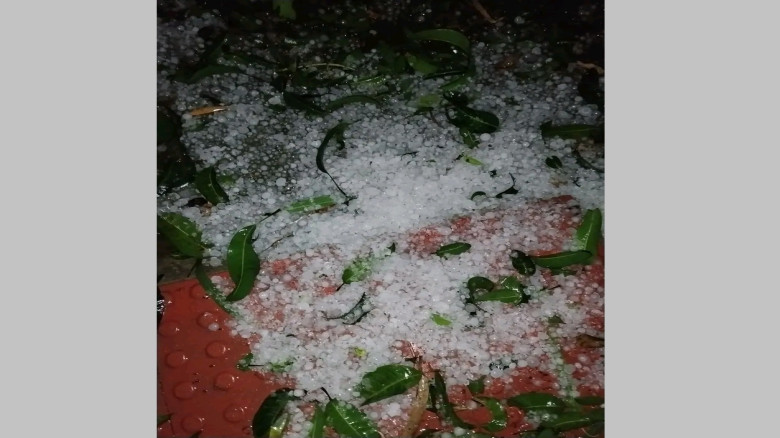 পঞ্চগড়ের বোদায় শিলাবৃষ্টিতে ব্যাপক ক্ষয়ক্ষতি...