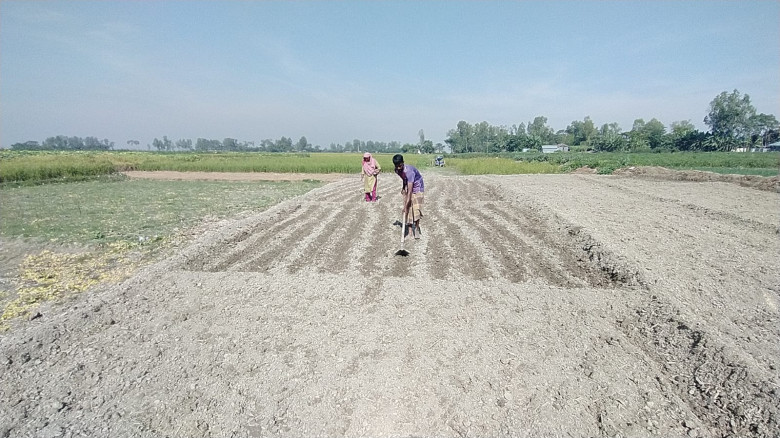 সারিয়াকান্দি যমুনা নদী পাড়ের কৃষকেরা ডিজেলের চরম স...