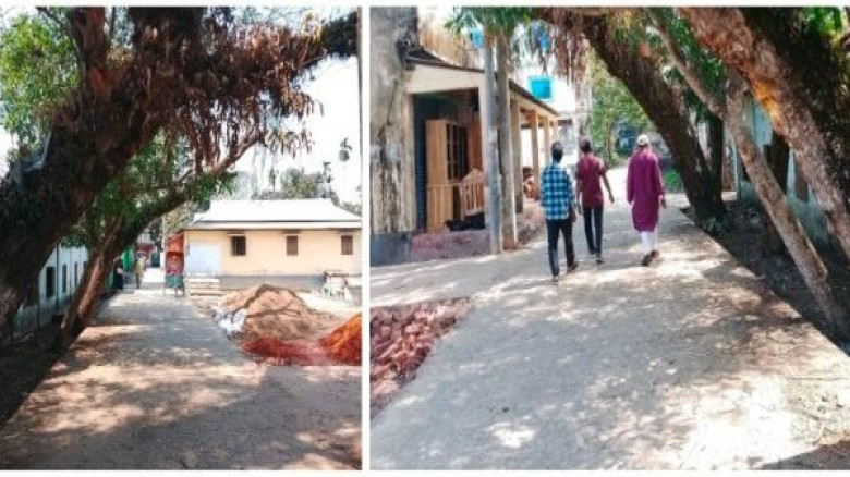 চুনারুঘাটে সড়কের পাশে ঝুকিপূর্ণ গাছ, অপসারণের দাবী...