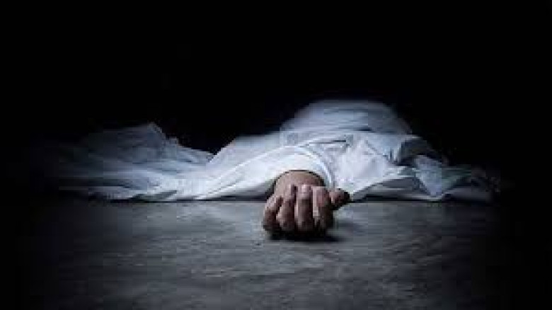 আমতলীতে জমি নিয়ে বিরোধে ভাইয়ের জামাইর আছারে ফুফু শ...