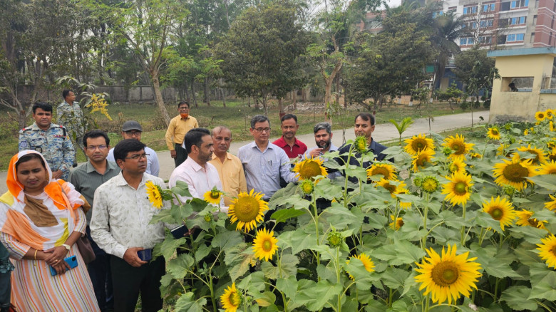 খুলনায় ৩ এপিবিএন’র ব্যতিক্রমী উদ্যোগ: সূর্যমুখী বা...
