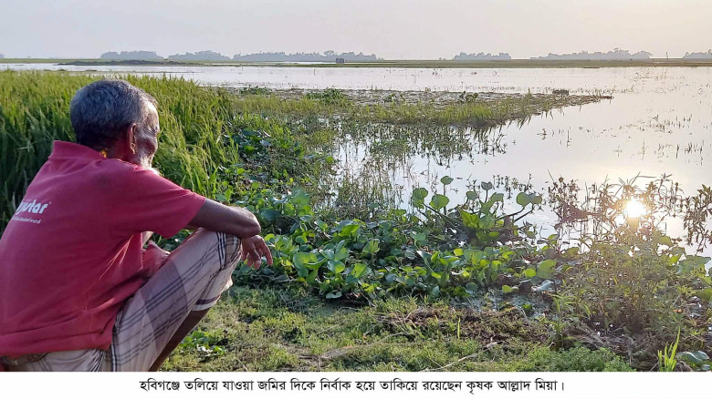 বৃষ্টির পানিতে তলিয়ে গেছে ৮শ’একর জমির ফসল, ঝুঁকিতে...
