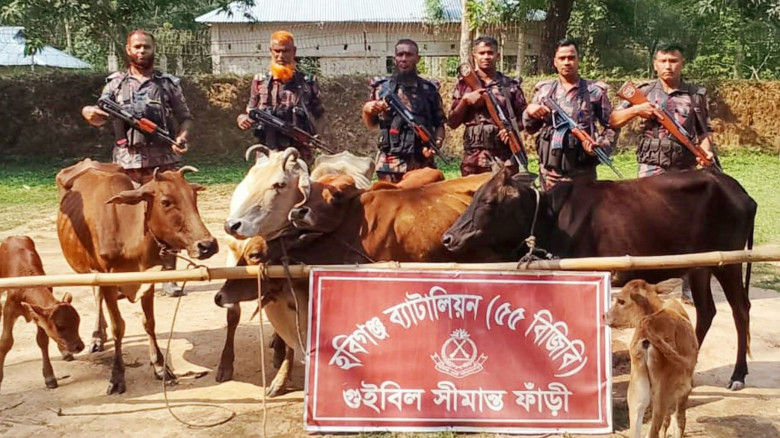 চুনারুঘাটে  সীমান্ত দিয়ে আট ভারতীয় গরু জব্দ...