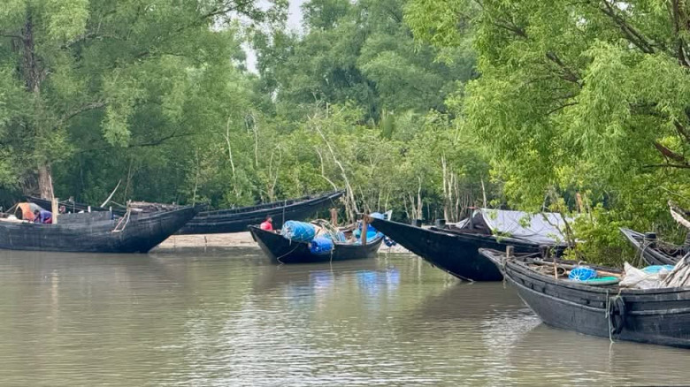 ঘুষ দিয়ে  অভয়ারণ্যে ইজারা, বছর জুড়ে চলে মাছ শিকার...