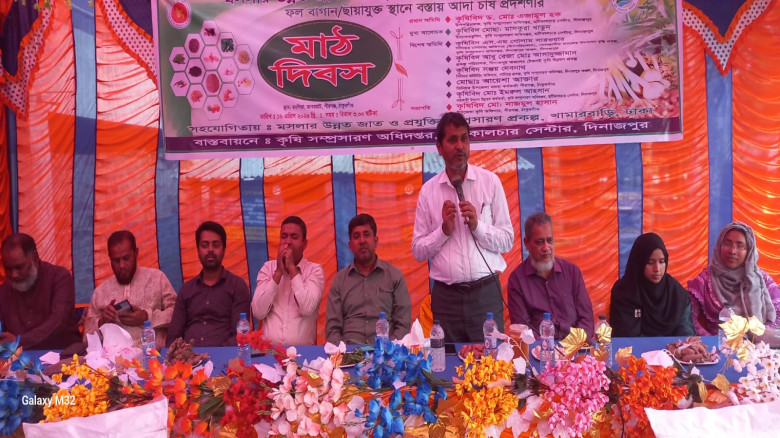 পীরগঞ্জে বস্তায় আদা চাষ বিষয়ক মাঠ দিবস...