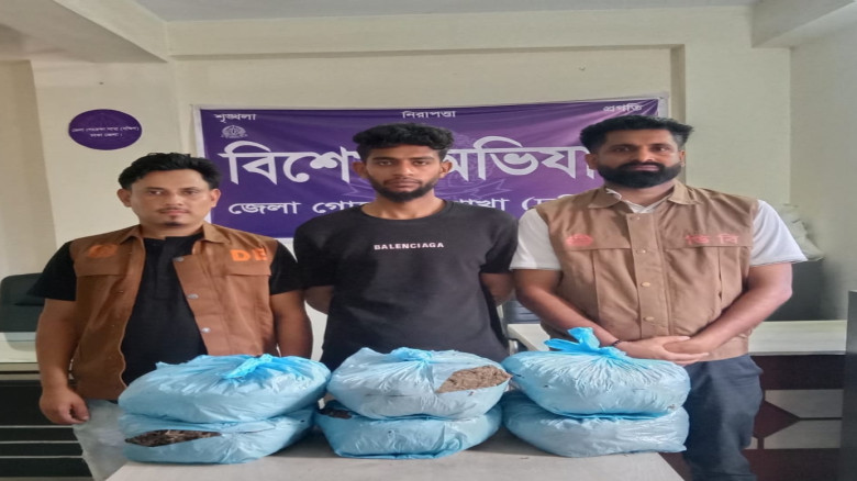 কেরানীগঞ্জ ও দোহারে ডিবির অভিযানে মাদকদ্রব্যসহ গ্র...