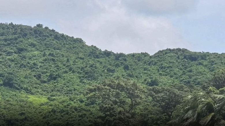 বাহারছড়ার গহীন পাহাড় থেকে তিনজনের মৃতদেহ উদ্ধার কর...