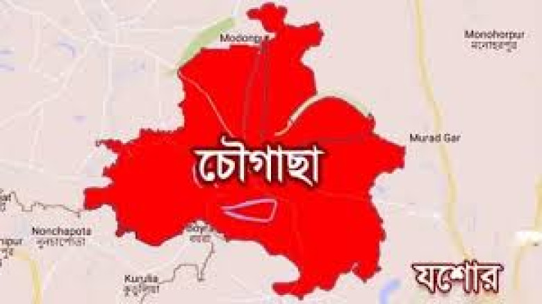 চৌগাছায় ভ্রাম্যমাণ আদালতে ২০০ লিটার ডিজেল জব্দ...