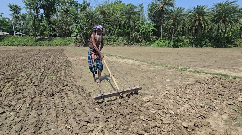 ফরিদপুর বিদ্যুত-ডিজেল সরবরাহে ঘাটতি, পাট উৎপাদন ব্...
