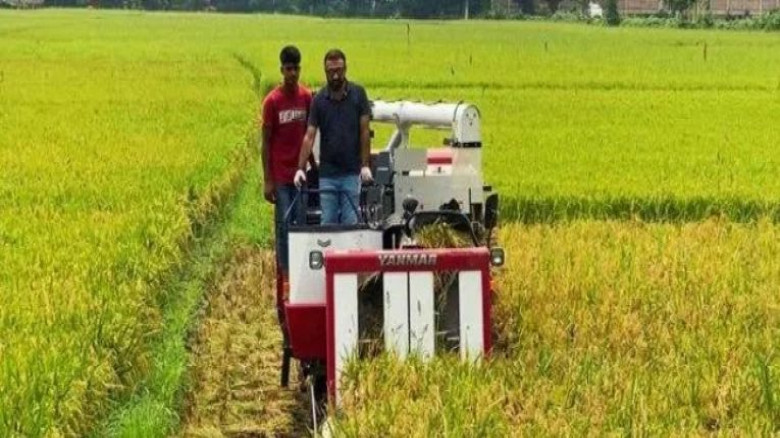 বানিয়াচং উপজেলায় তীব্র ডিজেল সংকটের কারণে হারভেস্ট...