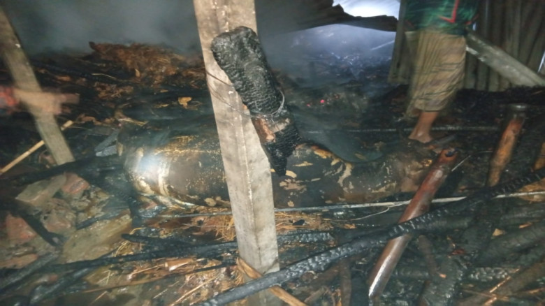 গফরগাঁওয়ে আগুনে পুড়ে মারা গেল কৃষকের ৩ গরু...