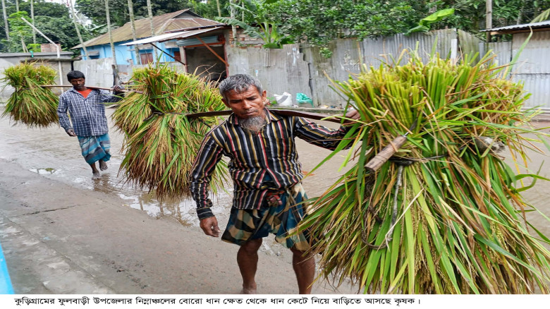 বিদ্যুৎ বিভ্রাটে চরম দুর্ভোগ, বোরো ধান নিয়ে বিপাকে...