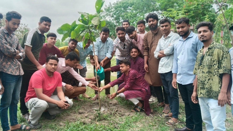 নীলফামারী সরকারী কলেজ ছাত্রদলের বৃক্ষরোপণ কর্মসুচি...