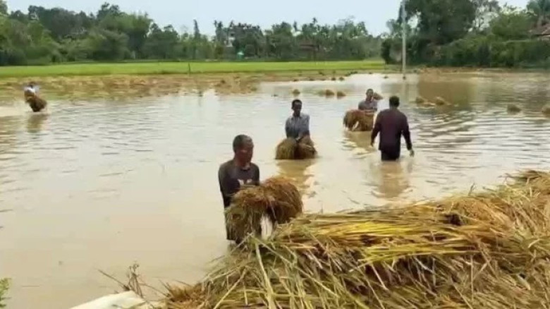 খাগড়াছড়িতে কালবৈশাখী ঝড়ে ৮৩২ হেক্টর ফসলি জমি ক্ষতি...