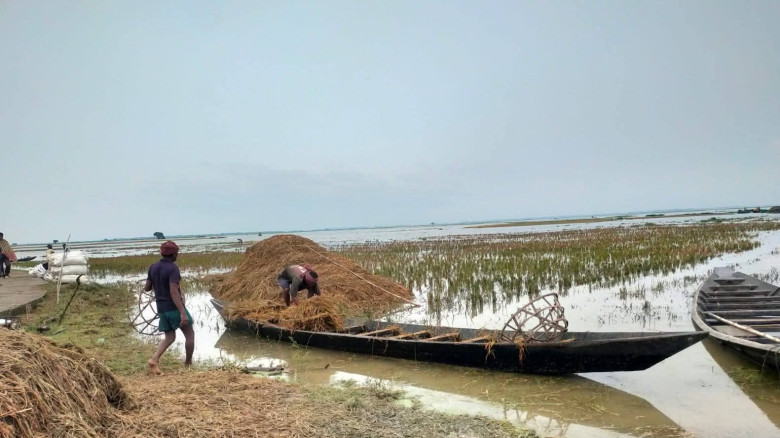হবিগঞ্জের হাওরে অকাল বন্যায় ১৫ হাজার হেক্টর জমির ব...