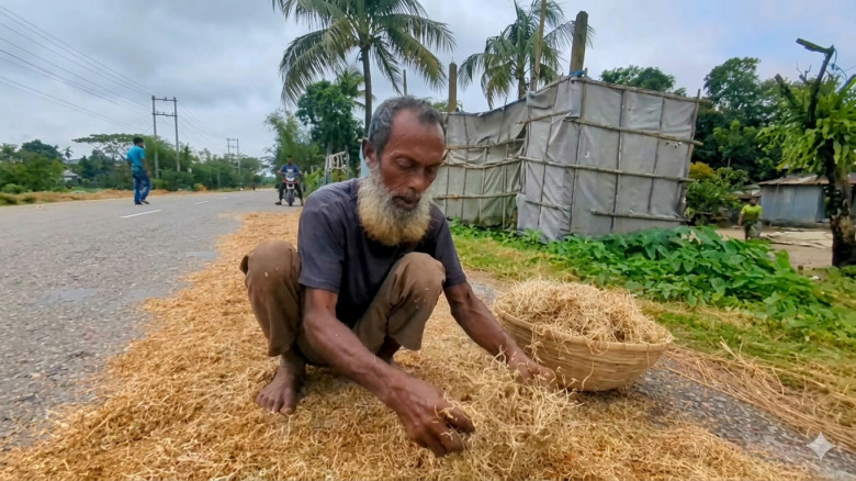 সোনালী স্বপ্নে পচনের হাহাকার  ঋণের বোঝা আর কৃষকের ...