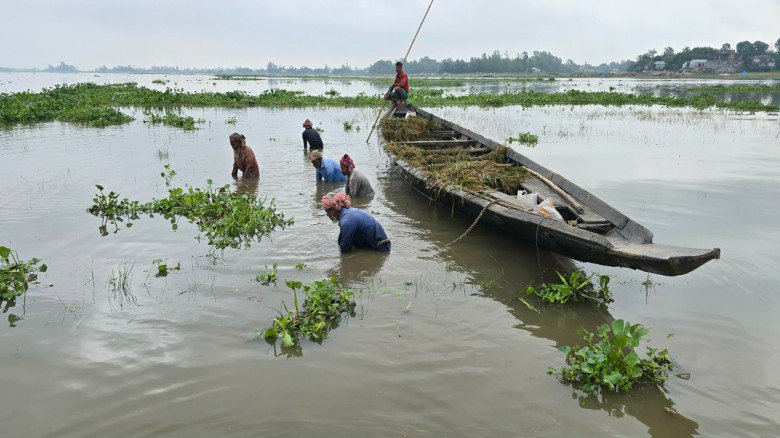 নাসিরনগরে কৃষকের স্বপ্ন এখন হাওরের পানির নিচে...