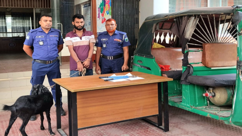 লালপুরে ছাগল চুরি করে পালানোর সময় সিএনজি ও ছাগলসহ ...