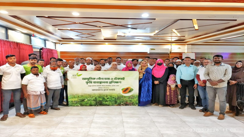 ব্র্যাক নার্সারির উদ্যোগে পেঁপে চাষের আধুনিক পদ্ধত...
