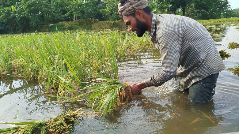 বারহাট্টায় খালের মুখ বন্ধের অভিযোগ, কোমর পানিতে নে...