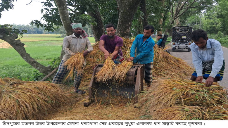 চাঁদপুরের দুটি সেচ প্রকল্পে বোরো ধানের বাম্পার ফলন...
