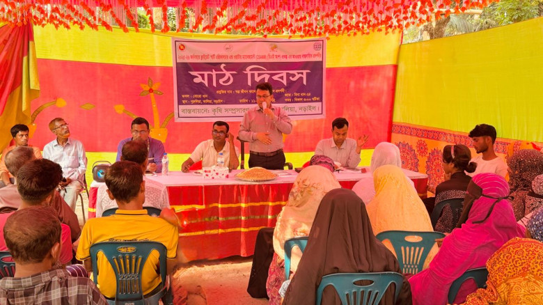 কালিয়ায় বিনা ধান-২৪ এর মাঠ দিবস অনুষ্ঠিত...