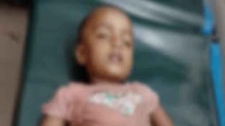চুয়াডাঙ্গার সেনেরহুদা গ্রামে দ্রুতগতির ইজিবাইকের ধ...