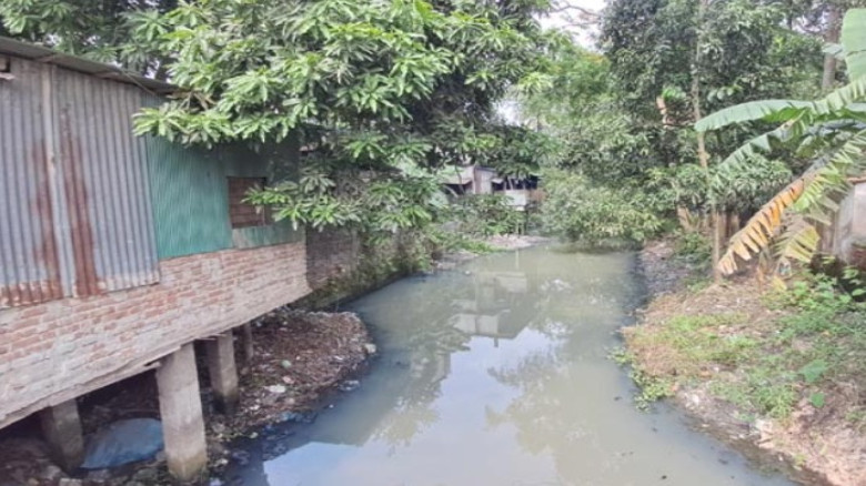 চাঁদপুরে দুটি প্রকল্পে কমেছে ২৭ হাজার হেক্টর সেচযো...