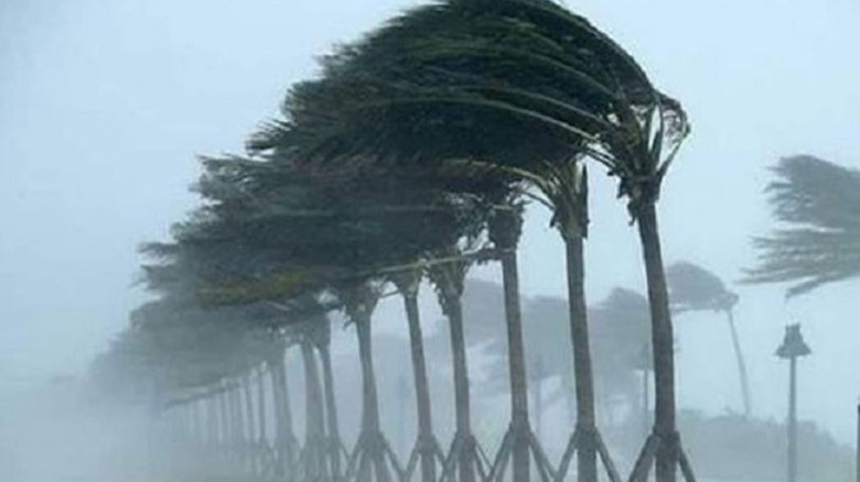 ১৪ অঞ্চলে ঝড়ের শঙ্কা, সতর্কসংকেত জারি...