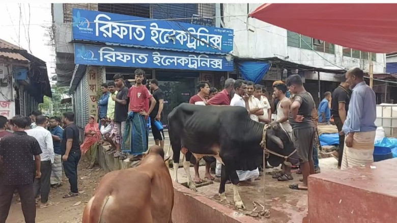 গাজীপুরে ডাকাতি হওয়া আটটি গরু উদ্ধার করেছে পুলিশ...