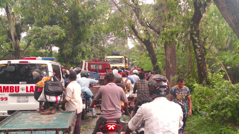 ঝড়ে গাছ উপড়ে আলমডাঙ্গা-চুয়াডাঙ্গা সড়ক অবরুদ্ধ, দেড়...