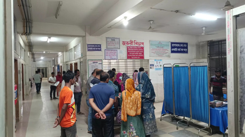 ঝিনাইদহে বজ্রপাতে নারীসহ দুজনের মৃত্যু...
