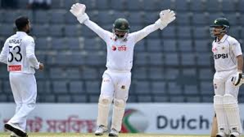 পাকিস্তানকে হোয়াইটওয়াশ করতে বাংলাদেশের প্রয়োজন তিন...