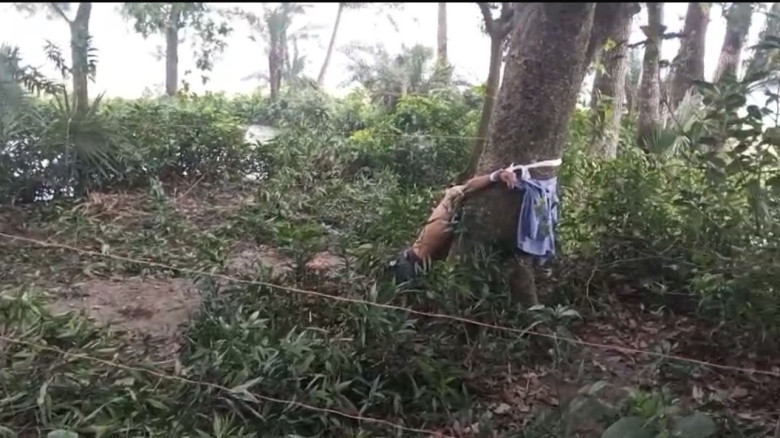 গফরগাঁওয়ে জাম গাছে বাঁধা মরদেহ , পাশেই পড়েছিল বি...