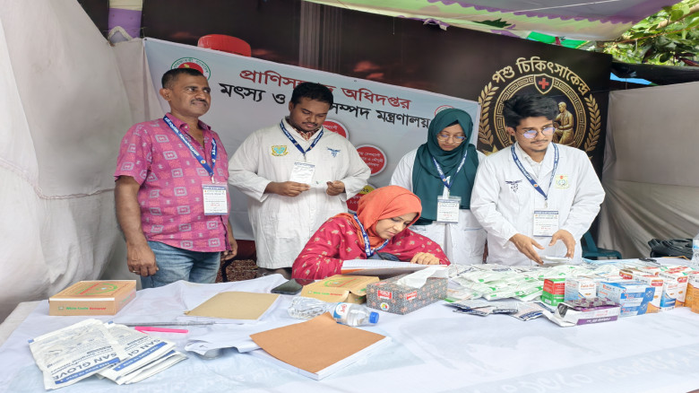 রাজধানীর বিভিন্ন পশুর হাটে ভেটেরিনারি চিকিৎসাসেবা ...