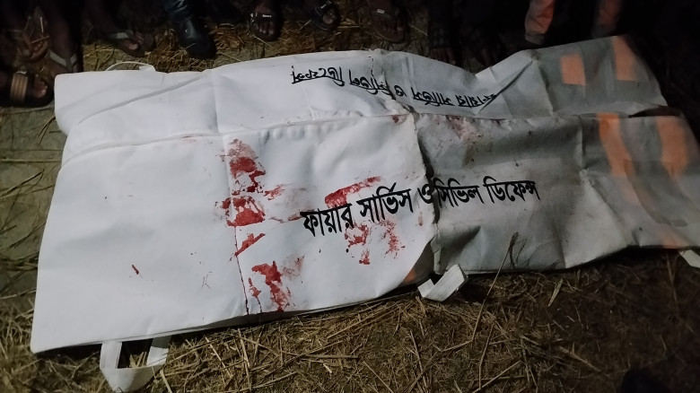 ডোমারে ট্রাক ও মিথিলা মুখোমুখি সংঘর্ষে দুইজন নিহত...