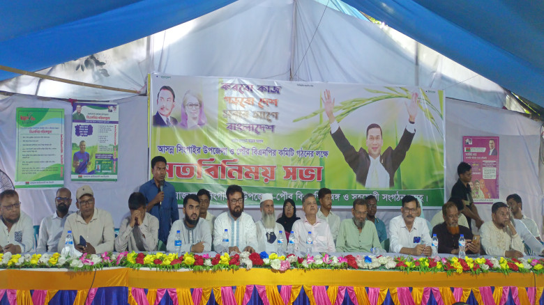 ত্যাগীদের বাদ দিয়ে সিংগাইরে বিএনপির কমিটি করলে প্র...