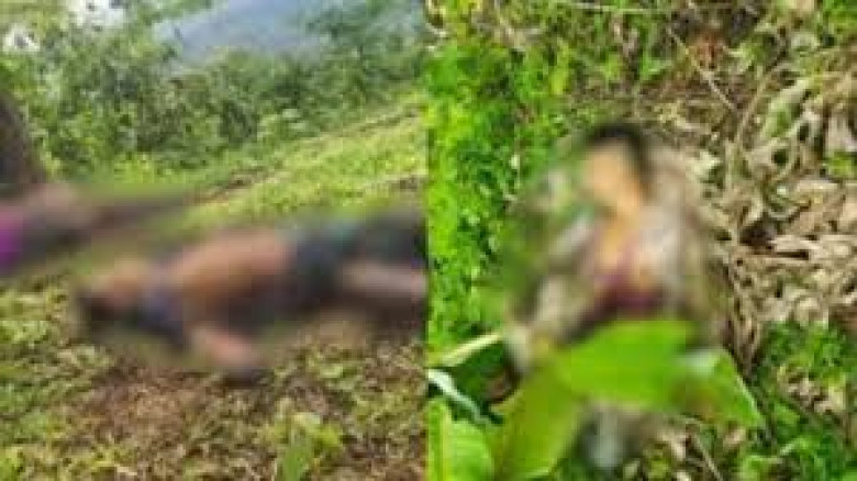 ঘুমধুম সীমান্তে মাইন বিস্ফোরণে তিন বাংলাদেশি নিহত...