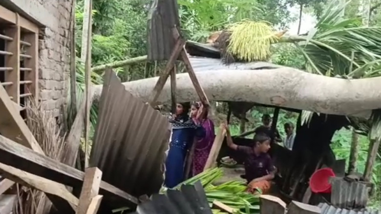 পিরোজপুরে ঝড়ে ঘরের ওপর গাছ পড়ে গৃহবধূর মর্মান্তিক ...
