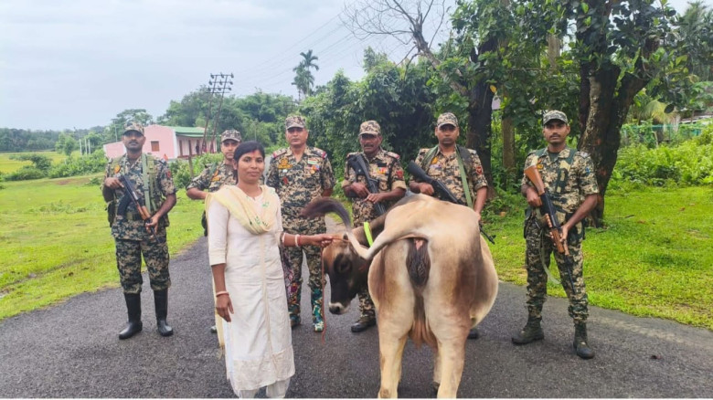 খোয়াই নদী থেকে ভারতীয় গাভী উদ্ধার ক‌রে দৃষ্টান্ত দ...