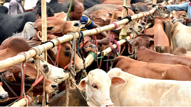 ত্যাগের মহিমায় উদ্ভাসিত ঈদ...