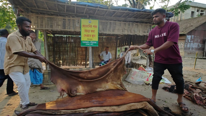 পরশুরামে পানির চেয়েও কম দামে বিক্রি হচ্ছে কোরবানির...