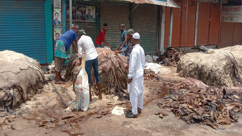 কুমিল্লায় কোরবানির চামড়ার বাজারে অস্থিরতা, বিপাকে ...