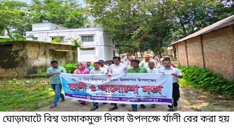 ঘোড়াঘাটে বিশ্ব তামাক মুক্ত দিবস পালিত...