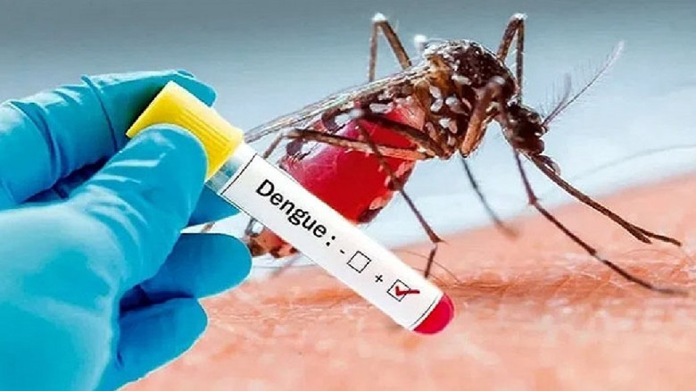 ডেঙ্গু মোকাবিলায় প্রস্তুত সরকার...